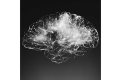 Image Gut brain axis sending signals to neurological pathways